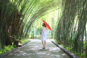 bamboo-grove.photo-Jarvis-Oxley