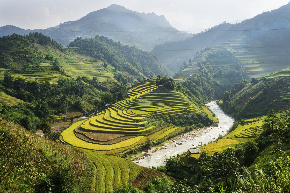 Terraced Rice Fields in Vietnam