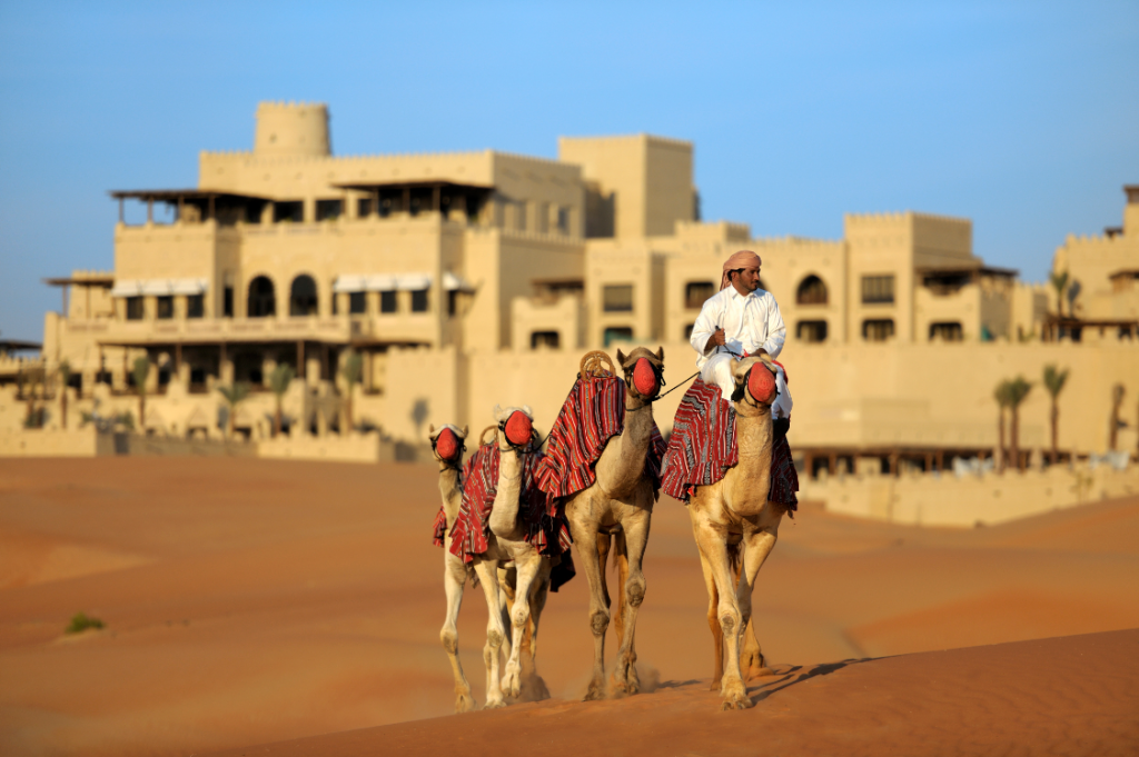 Camel trekking in the desert