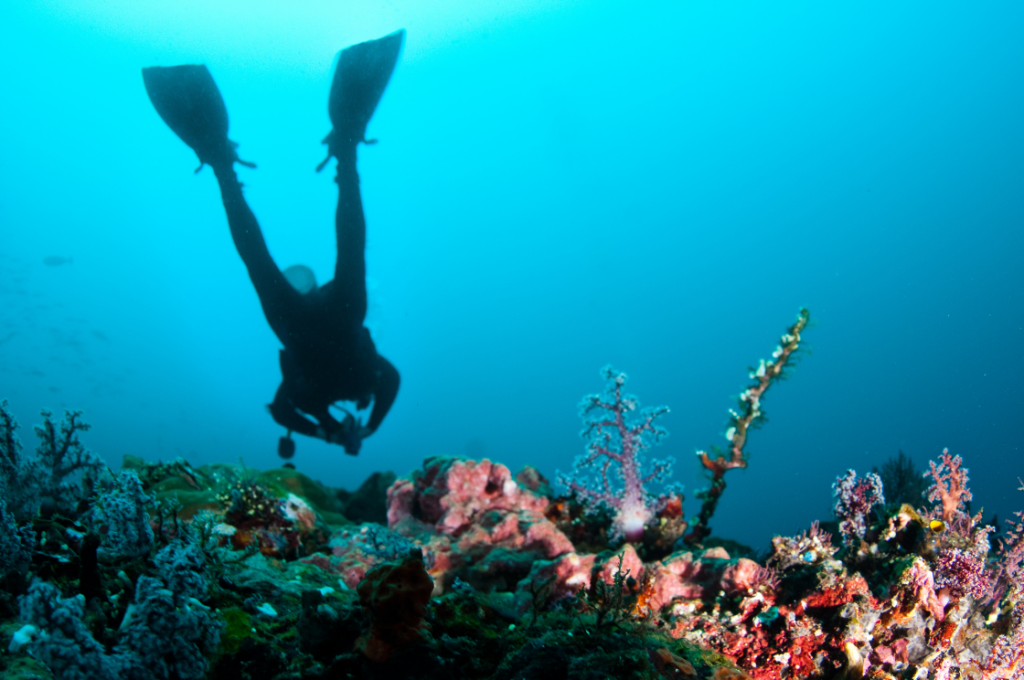diving in Bali