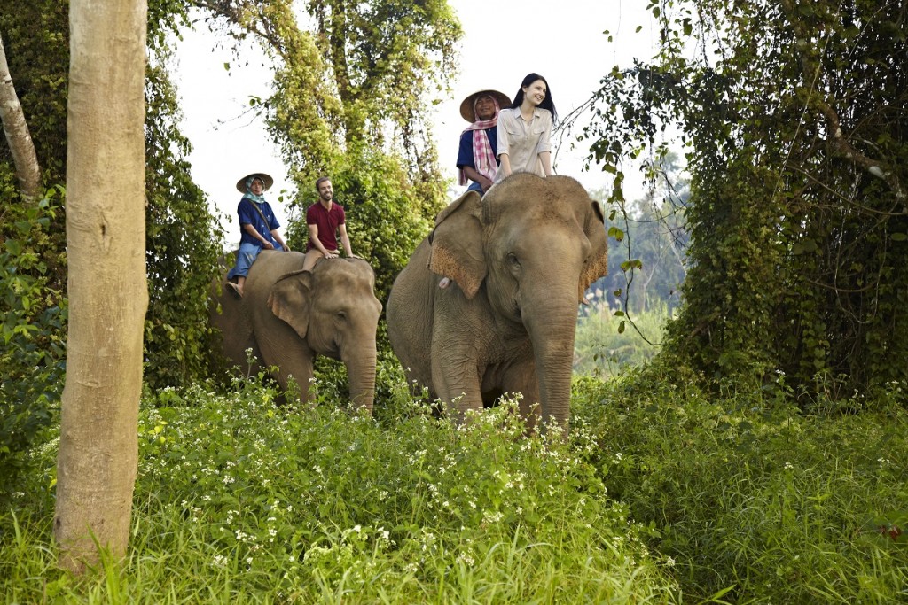 Asian girl in Elephant