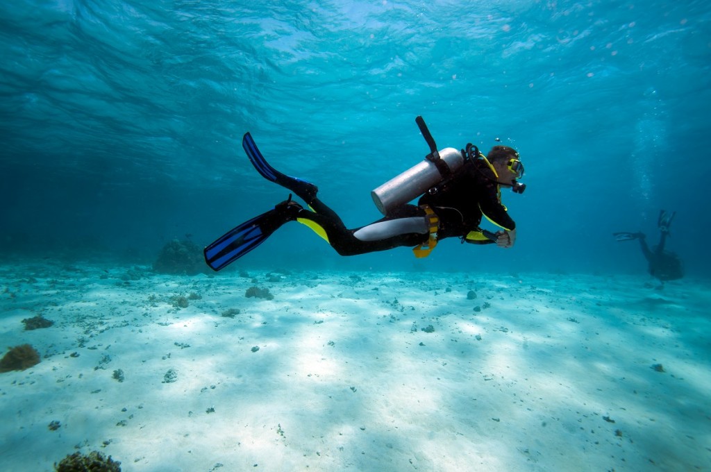 Diver in shallow water