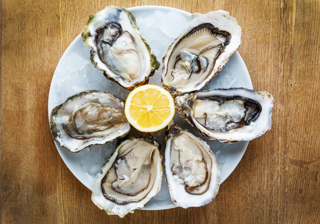 Oysters