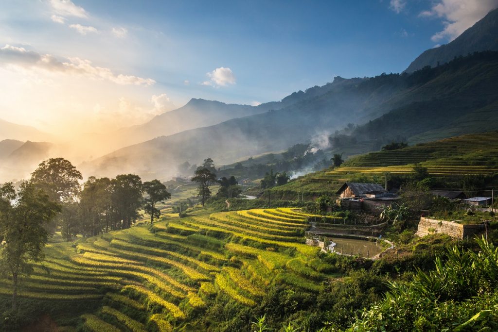Rice fields on terraced in sunset at SAPA.